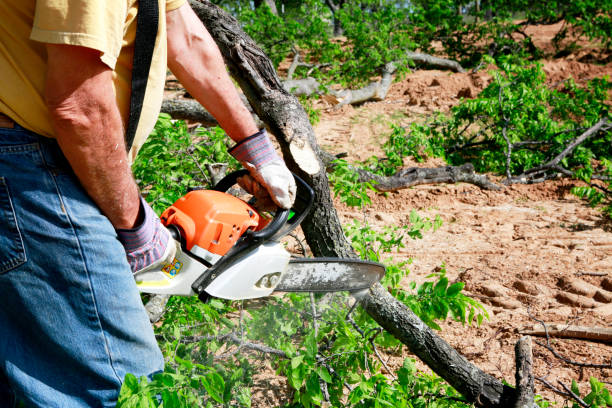 Soil Testing and Treatment in Hawaiian Paradise Park, HI